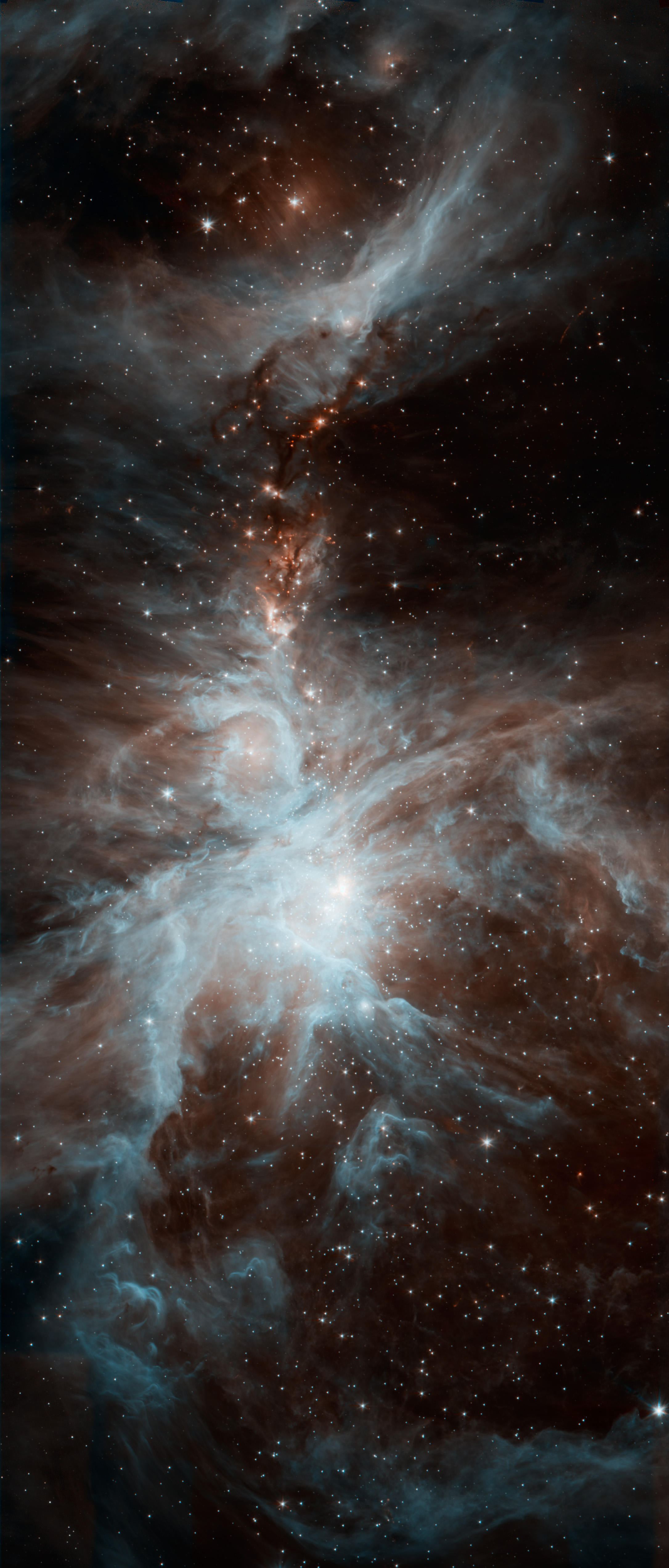 Spitzer's Orion.jpg