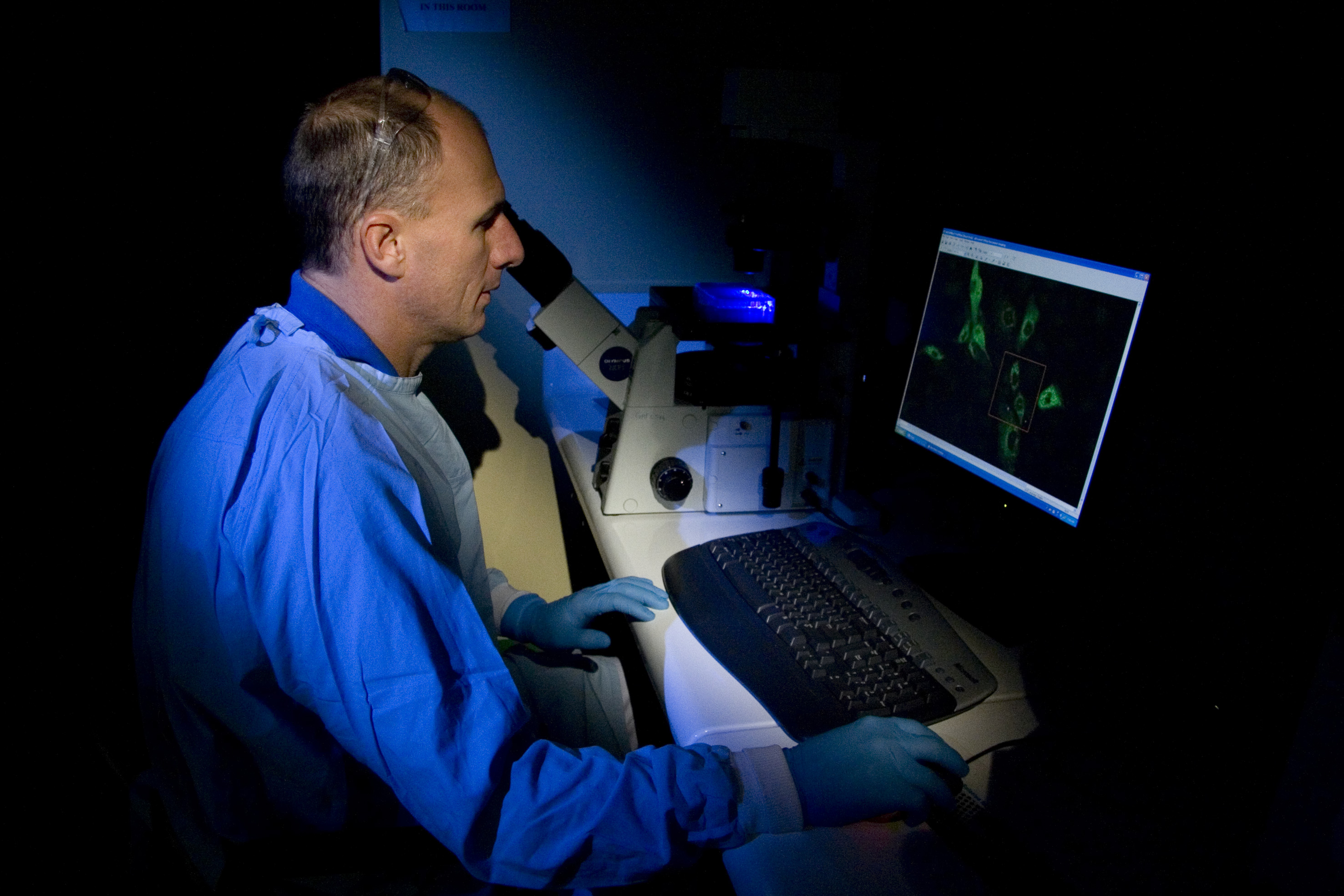 CSIRO ScienceImage 7964 Scientist in the laboratory at AAHL.jpg